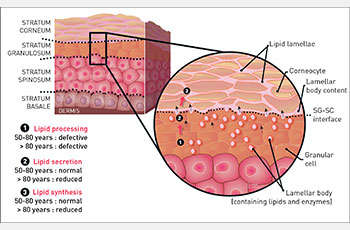 LABORATOIRES A-DERMA